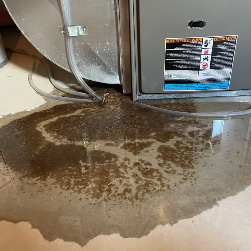 Pipe Burst and Leak Restoration in Perry County, KY