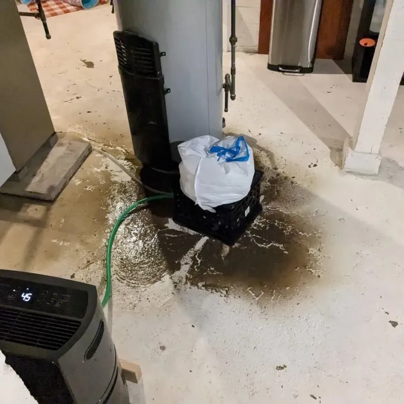 Sewage Backup Cleanup Service in Perry County, KY